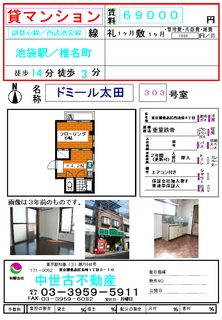 domiruoota303.JPG